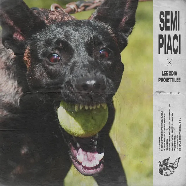 Semi Piaci