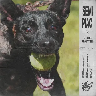 Semi Piaci by Lee Odia