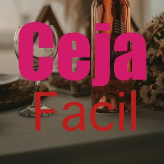 Facil (Bachata Live) by Ceja