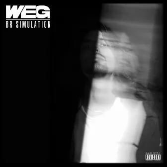 BR Simulation by WEG