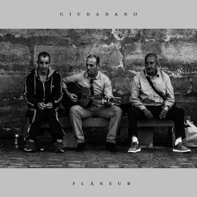 Ciudadano Flâneur