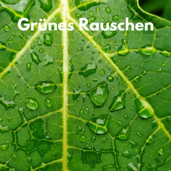 Grünes Rauschen by ASMR Rauschen