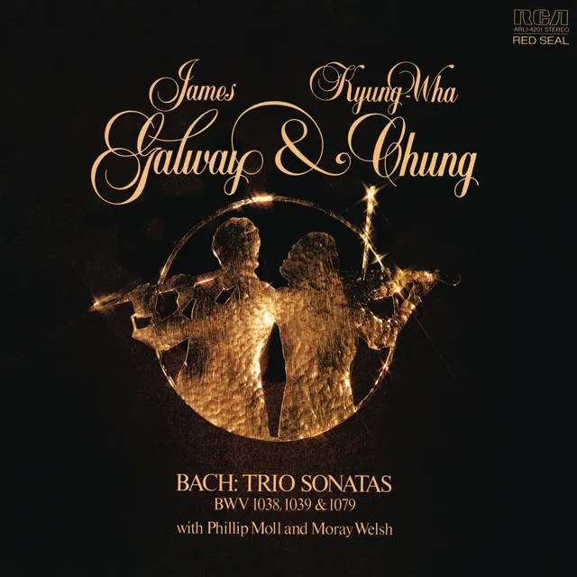 Trio Sonata No. 4 in C Minor, BWV 1079 (from "Musical Offering"): III. Andante