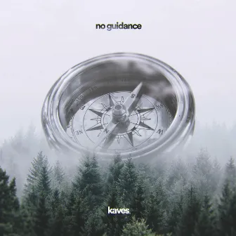 No Guidance by Kaves