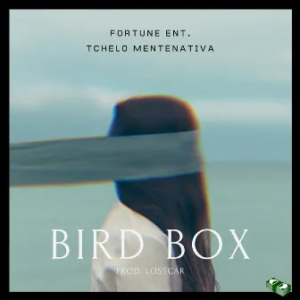 Bird Box by Tchelo MenteNativa