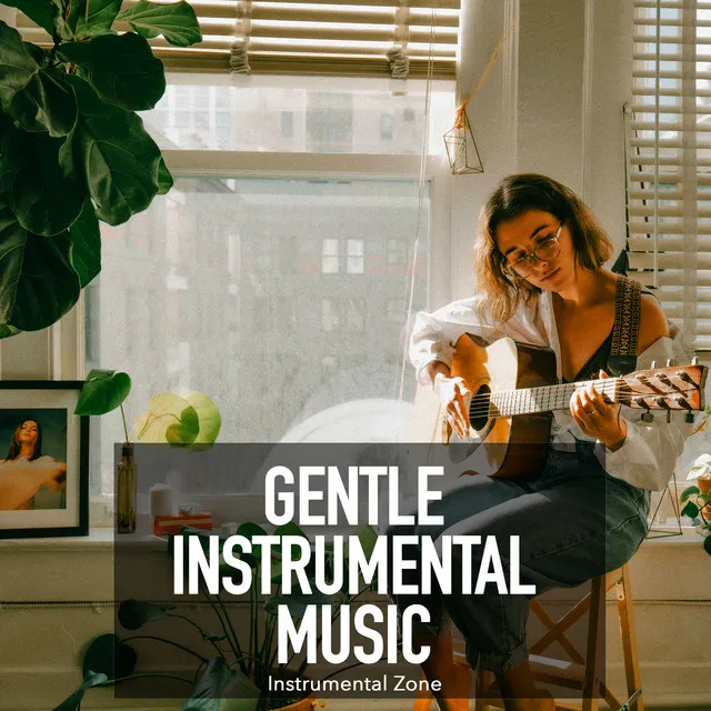 Gentle Instrumental Music