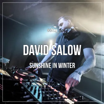 Sunshine In Winter by David Salow