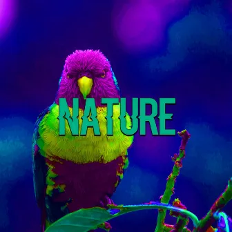 Nature by 