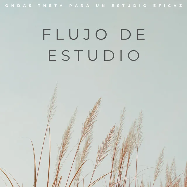 Estudio De Theta