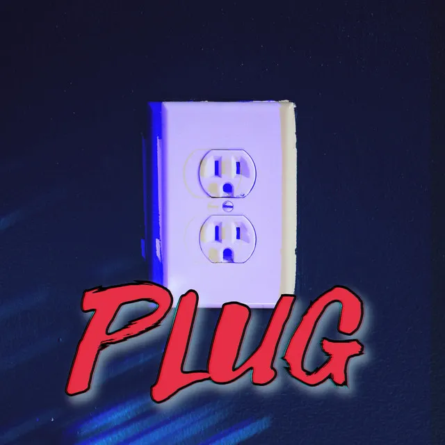 Plug