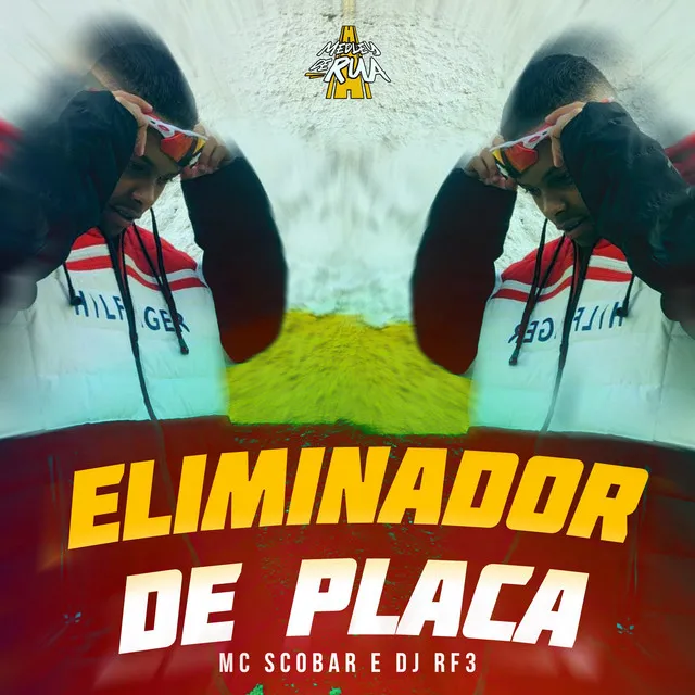 Eliminador de Placa