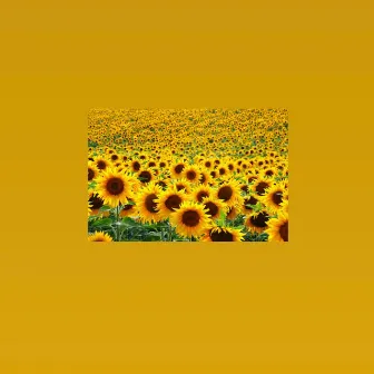 sunflower freestyle by X3NO