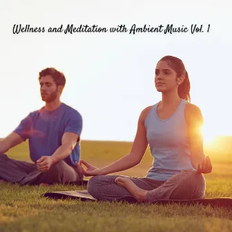 Wellness and Meditation with Ambient Music Vol. 1 by Binaural Explorer