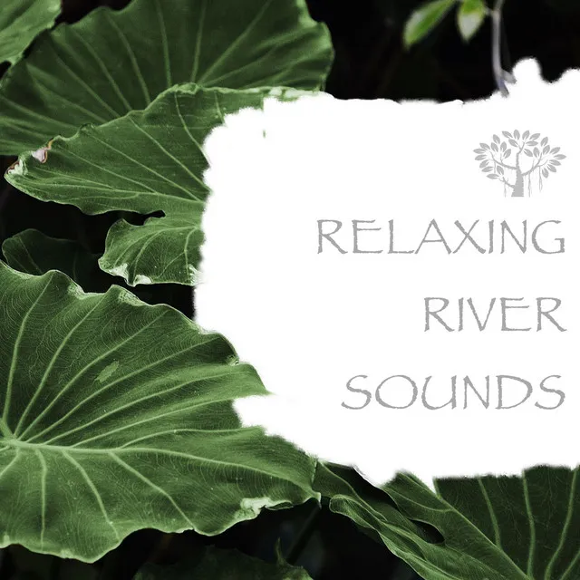 Relaxing River Sounds