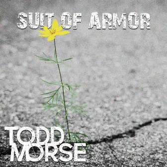 Suit Of Armor by Todd Morse