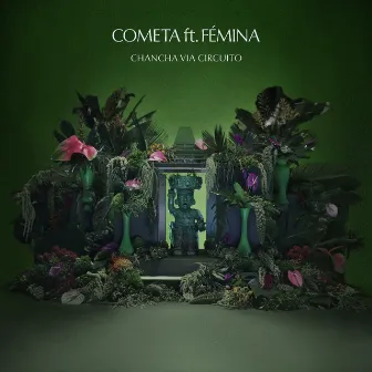 Cometa by Fémina