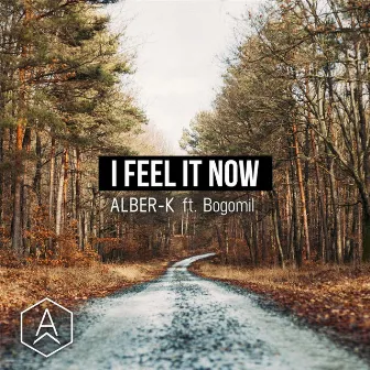 I Feel It Now (feat. Bogomil) by Alber-K