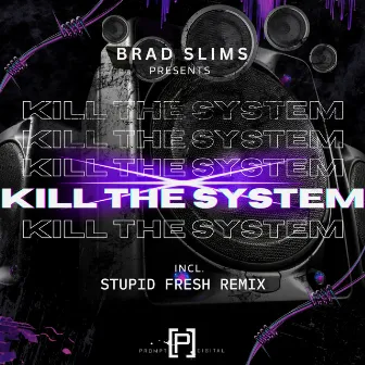 Kill The System (2009) by Brad Slims