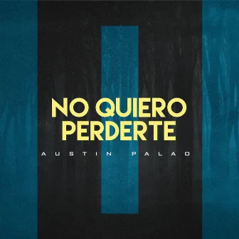 No Quiero Perderte by Austin Palao