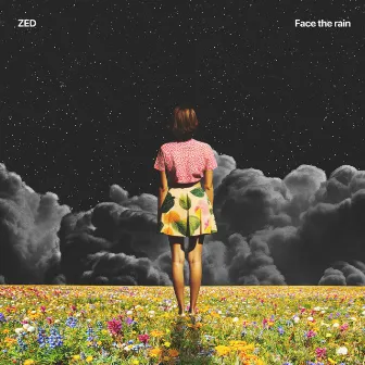 Face the Rain by Zed