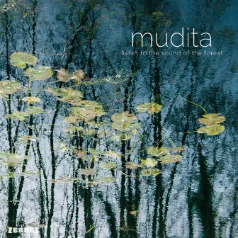 Listen to the Sound of the Forest by Mudita