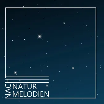 Nacht Natur Melodien – Sanfte Musik für Einen Guten Schlaf und Volle Entspannung by Sammlung Ruhige Instrumentalmusik