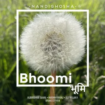 Bhoomi by Bijayashree Samal