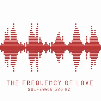 The Frequency of Love: Solfeggio 528 Hz by Hz Meditation Experience