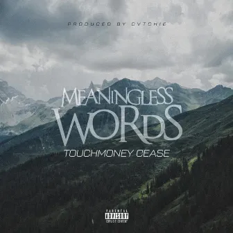 Meaningless Words by Touchmoney Cease