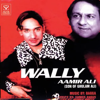 Wally by Aamir Ali