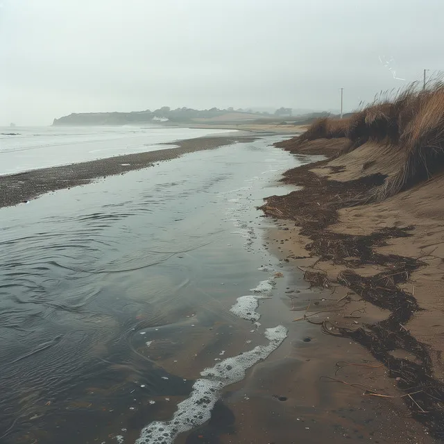 low tide