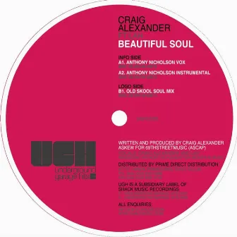 Beautiful Soul by Craig Alexander