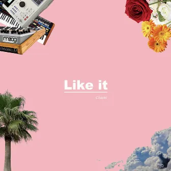 Like It by Chaeni