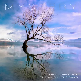 Mystery (Om Namo Narayanaya) by Sean Johnson & The Wild Lotus Band