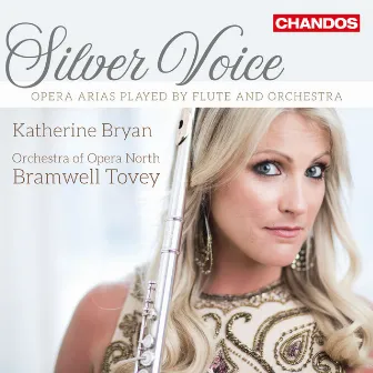 Silver Voice by Katherine Bryan