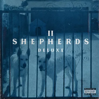 II Shepherds (Deluxe) by Jalen Santoy