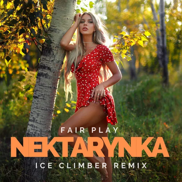 Nektarynka - Ice Climber Remix