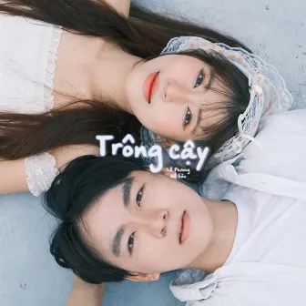 Trông Cậy by Hồ Bảo