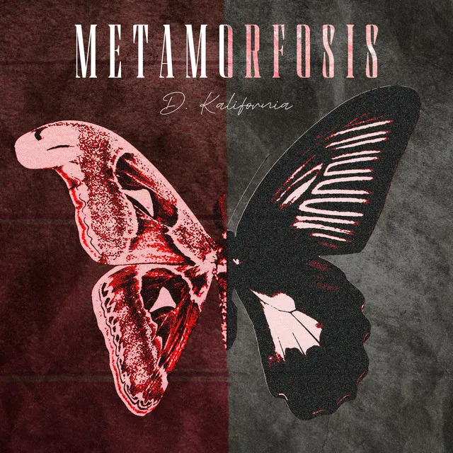 METAMORFOSIS