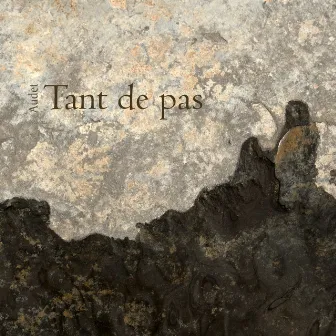 Tant de pas by Alain Audet