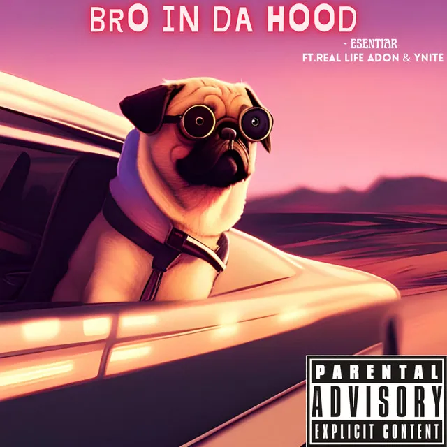 Bro In Da Hood