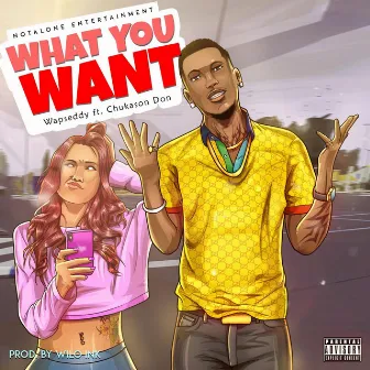 What You Want by WAPSEDDY