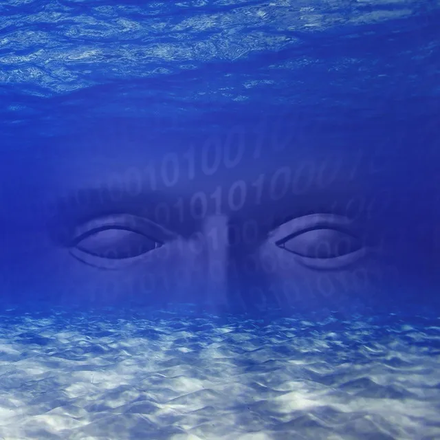 The Binary Ocean