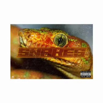 Snakes by N.I.C.K.