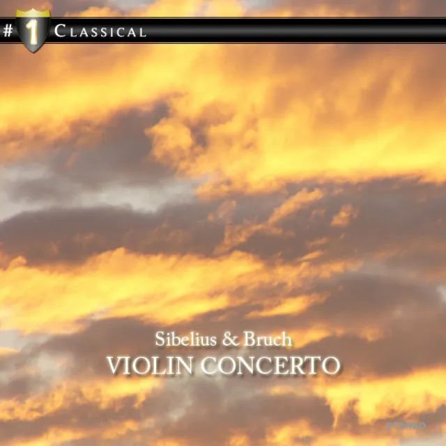 Concerto for Violin and Orchestra, Op. 47 in D Minor: Allegro ma non tanto