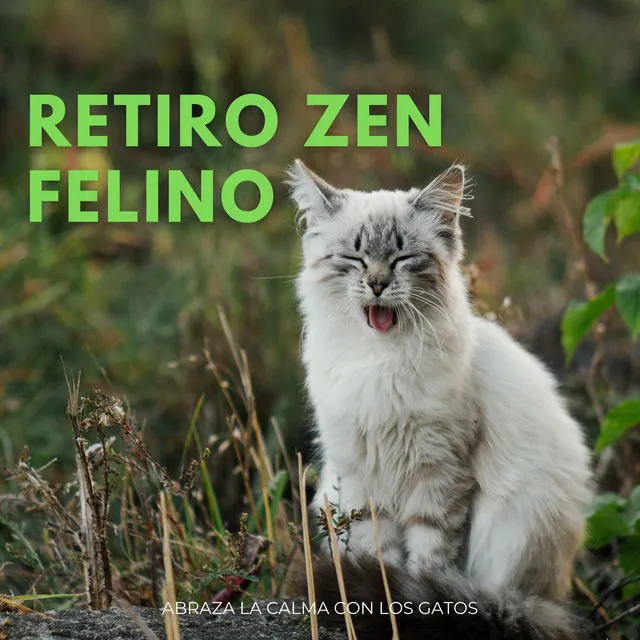 Retiro Zen Felino: Abraza La Calma Con Los Gatos