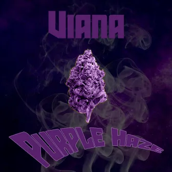 Purple Haze by Viana