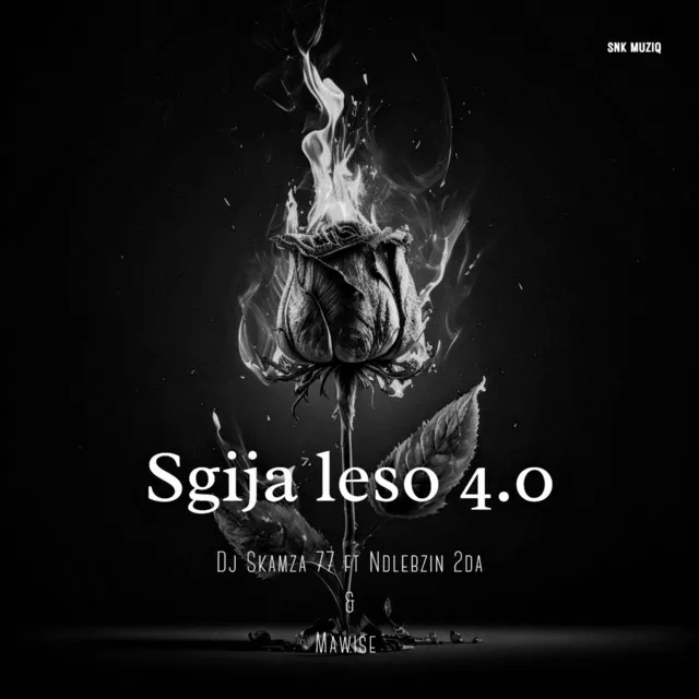 Sgija Leso 4.0