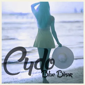 Blue Binar by CYDO