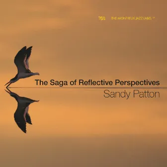 The Saga of Reflective Perspectives by Sandy Patton